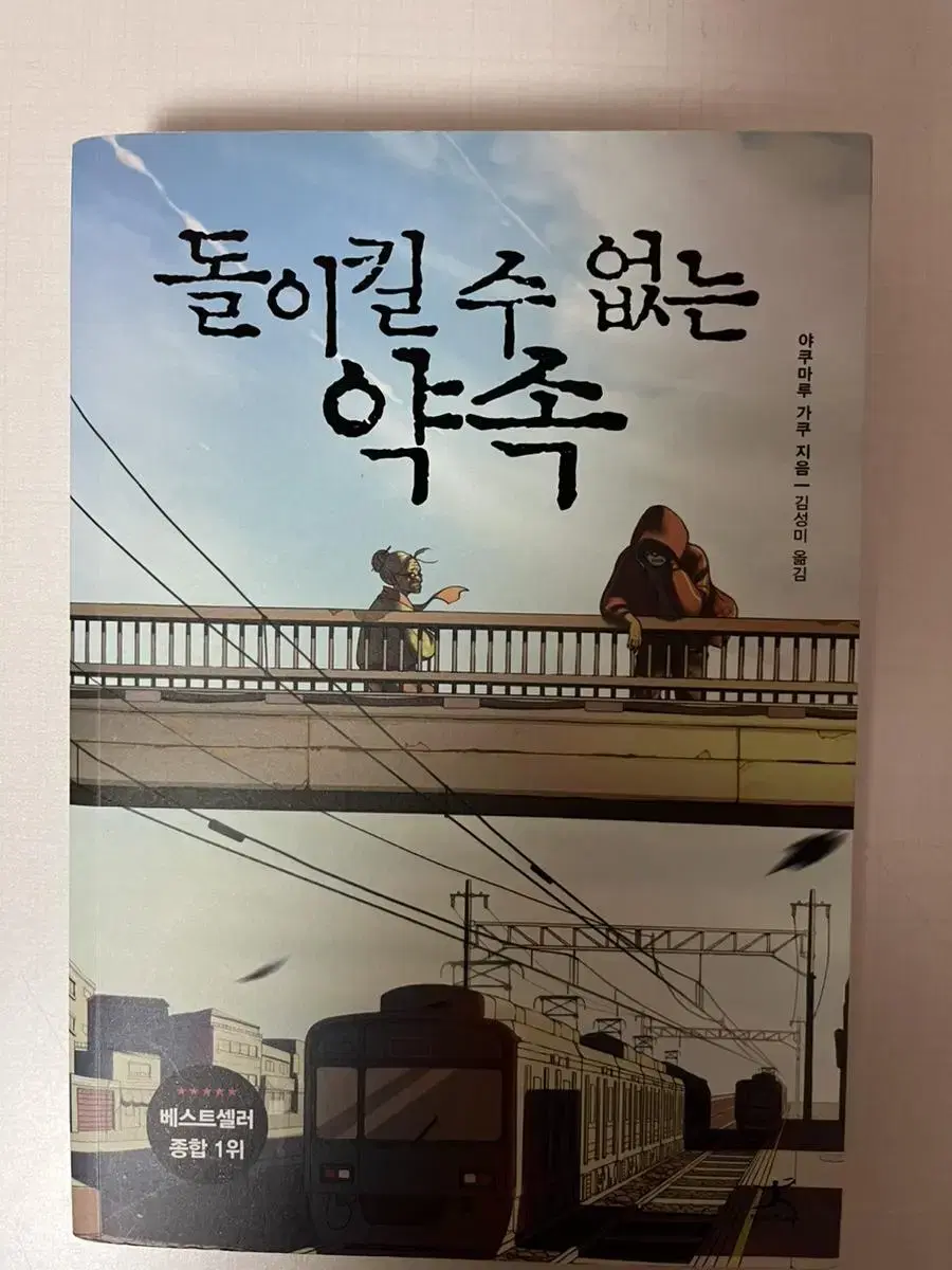 돌이킬 수 없는 약속 (책 판매)